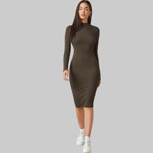 Load image into Gallery viewer, Turtle Polo Neck Bodycon Midi Dress
