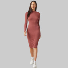 Load image into Gallery viewer, Turtle Polo Neck Bodycon Midi Dress
