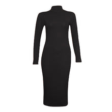 Load image into Gallery viewer, Turtle Polo Neck Bodycon Midi Dress
