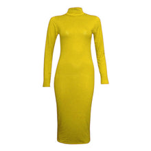 Load image into Gallery viewer, Turtle Polo Neck Bodycon Midi Dress
