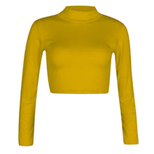 Load image into Gallery viewer, Turtle Polo Neck Crop Top
