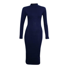 Load image into Gallery viewer, Turtle Polo Neck Bodycon Midi Dress

