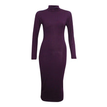 Load image into Gallery viewer, Turtle Polo Neck Bodycon Midi Dress
