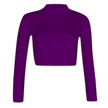 Load image into Gallery viewer, Turtle Polo Neck Crop Top
