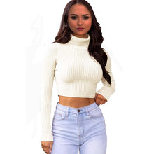Load image into Gallery viewer, Polo Neck Crop Top
