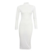 Load image into Gallery viewer, Turtle Polo Neck Bodycon Midi Dress
