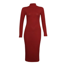 Load image into Gallery viewer, Turtle Polo Neck Bodycon Midi Dress
