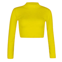 Load image into Gallery viewer, Turtle Polo Neck Crop Top
